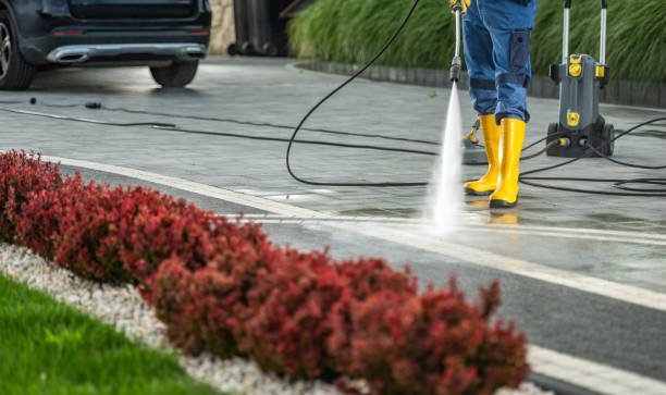 Best Sidewalk and Walkway Cleaning  in Bossier City, LA